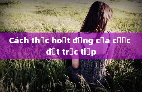 Cách thức hoạt động của cược đặt trực tiếp