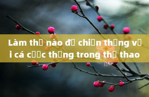 Làm thế nào để chiến thắng với cá cược thẳng trong thể thao