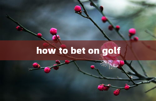 how to bet on golf