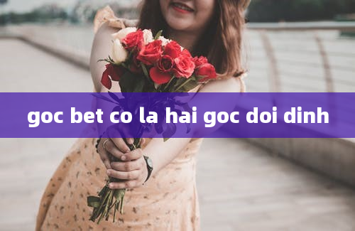 goc bet co la hai goc doi dinh