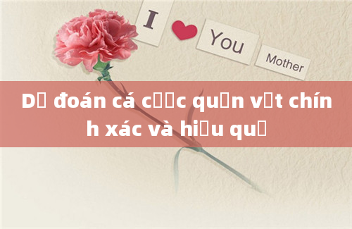 Dự đoán cá cược quần vợt chính xác và hiệu quả