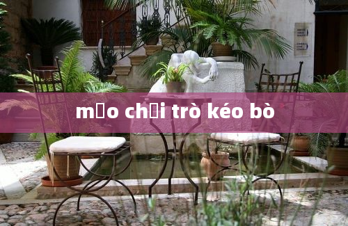 mẹo chơi trò kéo bò