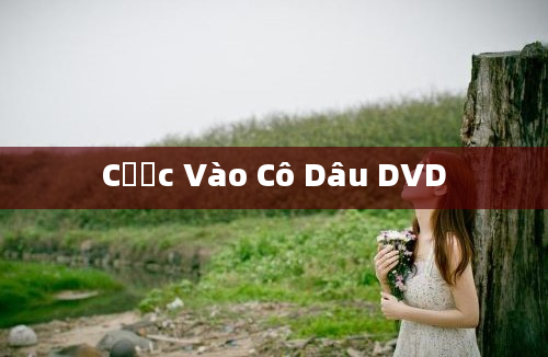 Cược Vào Cô Dâu DVD