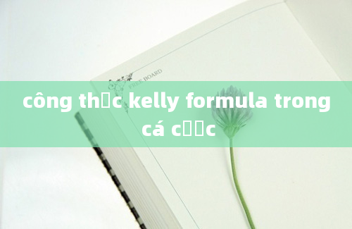 công thức kelly formula trong cá cược