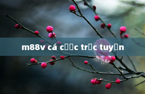 m88v cá cược trực tuyến