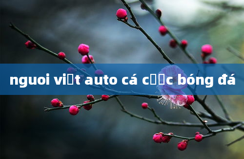 nguoi viết auto cá cược bóng đá