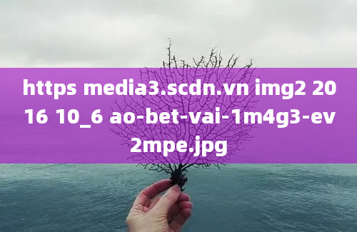 https media3.scdn.vn img2 2016 10_6 ao-bet-vai-1m4g3-ev2mpe.jpg