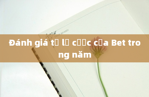 Đánh giá tỷ lệ cược của Bet trong năm