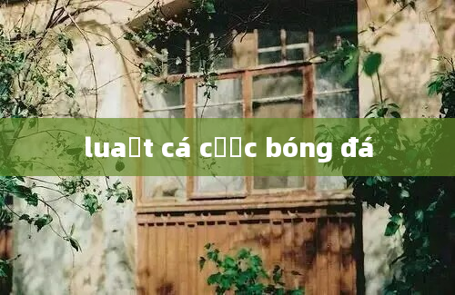 luaật cá cược bóng đá