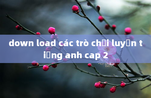 down load các trò chơi luyện tiếng anh cap 2