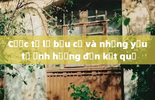 Cược tỉ lệ bầu cử và những yếu tố ảnh hưởng đến kết quả