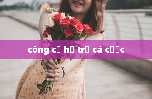 công cụ hỗ trợ cá cược