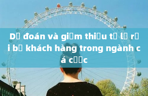 Dự đoán và giảm thiểu tỷ lệ rời bỏ khách hàng trong ngành cá cược