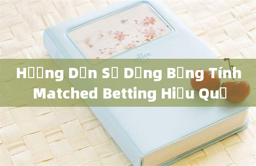 Hướng Dẫn Sử Dụng Bảng Tính Matched Betting Hiệu Quả