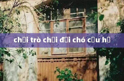 chơi trò chơi đội chó cứu hộ