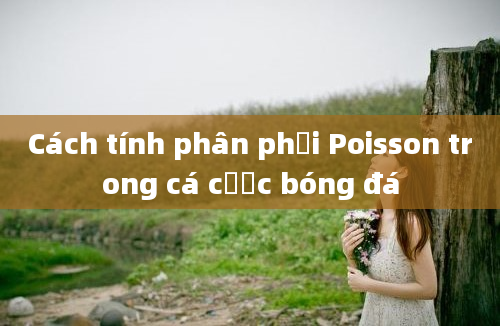 Cách tính phân phối Poisson trong cá cược bóng đá