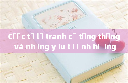 Cược tỷ lệ tranh cử tổng thống và những yếu tố ảnh hưởng