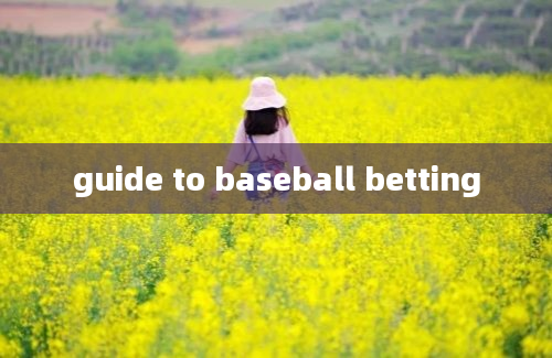 guide to baseball betting