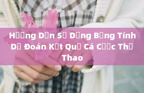 Hướng Dẫn Sử Dụng Bảng Tính Dự Đoán Kết Quả Cá Cược Thể Thao