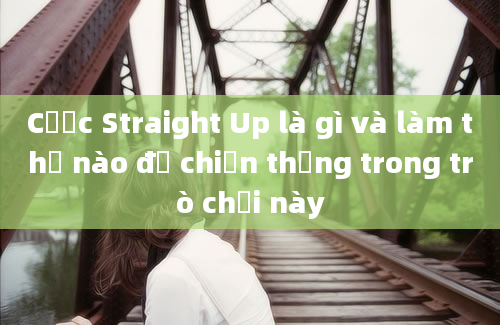 Cược Straight Up là gì và làm thế nào để chiến thắng trong trò chơi này