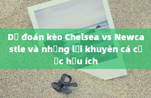 Dự đoán kèo Chelsea vs Newcastle và những lời khuyên cá cược hữu ích