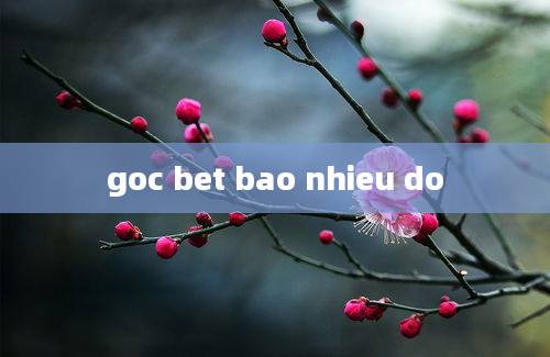 goc bet bao nhieu do