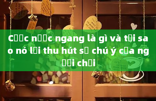 Cược nước ngang là gì và tại sao nó lại thu hút sự chú ý của người chơi