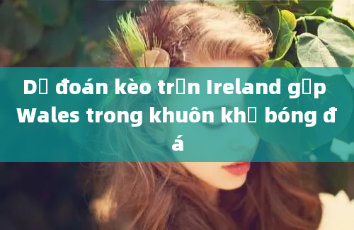 Dự đoán kèo trận Ireland gặp Wales trong khuôn khổ bóng đá