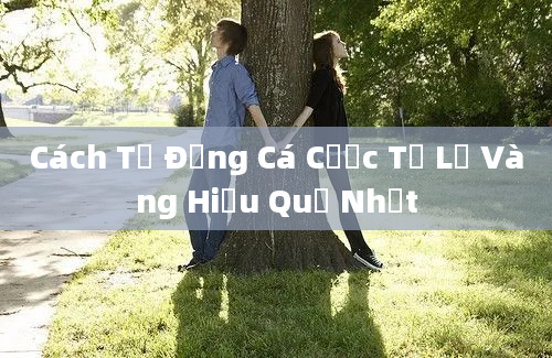 Cách Tự Động Cá Cược Tỷ Lệ Vàng Hiệu Quả Nhất