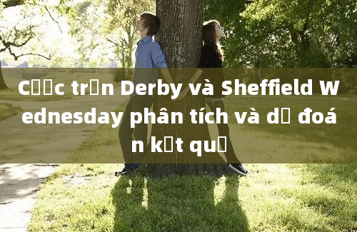 Cược trận Derby và Sheffield Wednesday phân tích và dự đoán kết quả