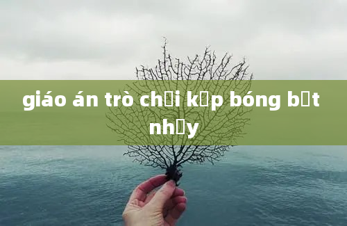 giáo án trò chơi kẹp bóng bật nhảy