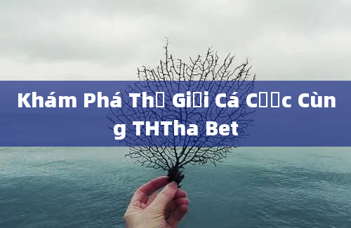 Khám Phá Thế Giới Cá Cược Cùng THTha Bet