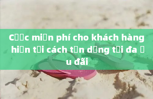 Cược miễn phí cho khách hàng hiện tại cách tận dụng tối đa ưu đãi