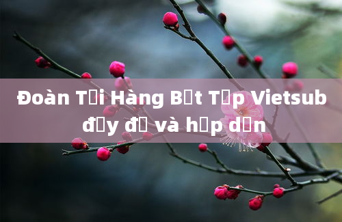 Đoàn Tối Hàng Bết Tập Vietsub đầy đủ và hấp dẫn