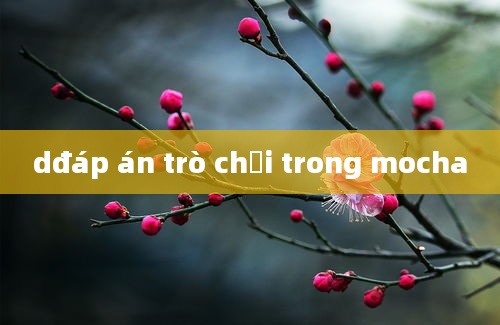 dđáp án trò chơi trong mocha