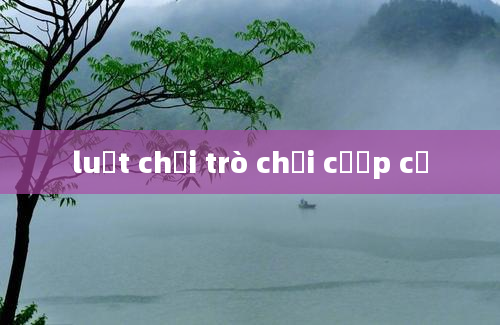 luật chơi trò chơi cướp cờ