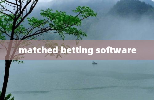 matched betting software