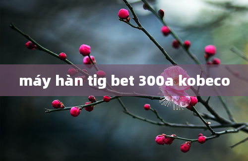 máy hàn tig bet 300a kobeco