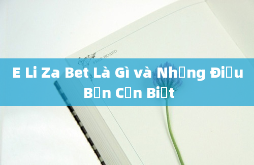 E Li Za Bet Là Gì và Những Điều Bạn Cần Biết