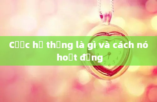 Cược hệ thống là gì và cách nó hoạt động