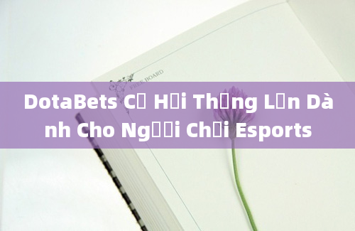 DotaBets Cơ Hội Thắng Lớn Dành Cho Người Chơi Esports