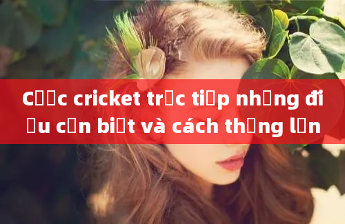 Cược cricket trực tiếp những điều cần biết và cách thắng lớn