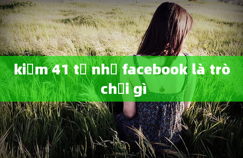 kiếm 41 tỷ nhờ facebook là trò chơi gì