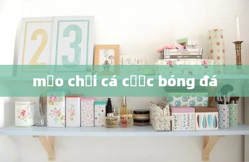 mẹo chơi cá cược bóng đá