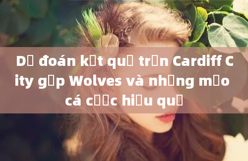 Dự đoán kết quả trận Cardiff City gặp Wolves và những mẹo cá cược hiệu quả