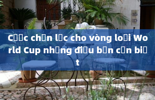 Cược chọn lọc cho vòng loại World Cup những điều bạn cần biết