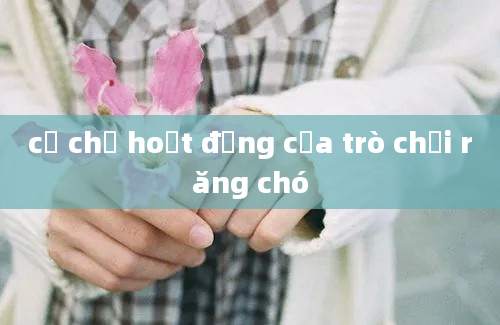 cơ chế hoạt động của trò chơi răng chó