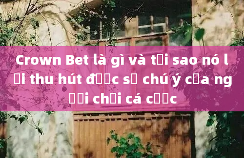 Crown Bet là gì và tại sao nó lại thu hút được sự chú ý của người chơi cá cược