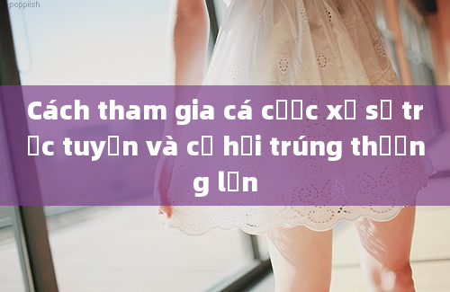 Cách tham gia cá cược xổ số trực tuyến và cơ hội trúng thưởng lớn