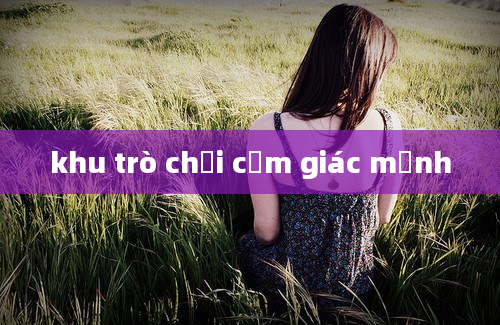 khu trò chơi cảm giác mạnh